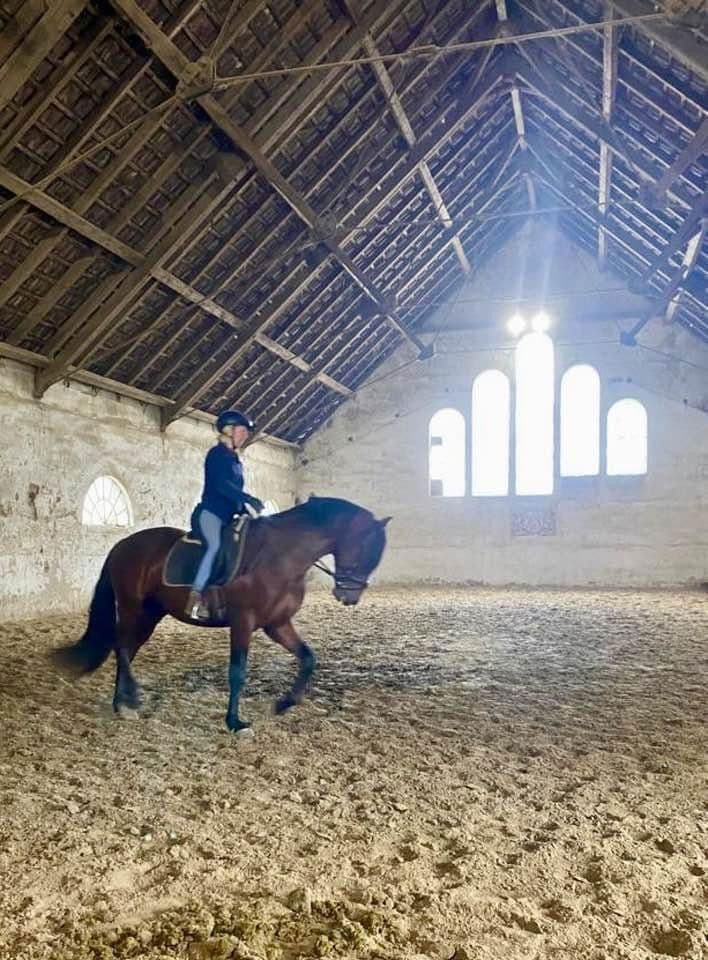 Prodej domu 380 m², pozemek 350.000 m², Domäne Hünkemann 1, Wurster Nordseeküste, Dolní Sasko Prodej domu 380 m², pozemek 350.000 m², Domäne Hünkemann 1, Wurster Nordseeküste, Dolní Sasko