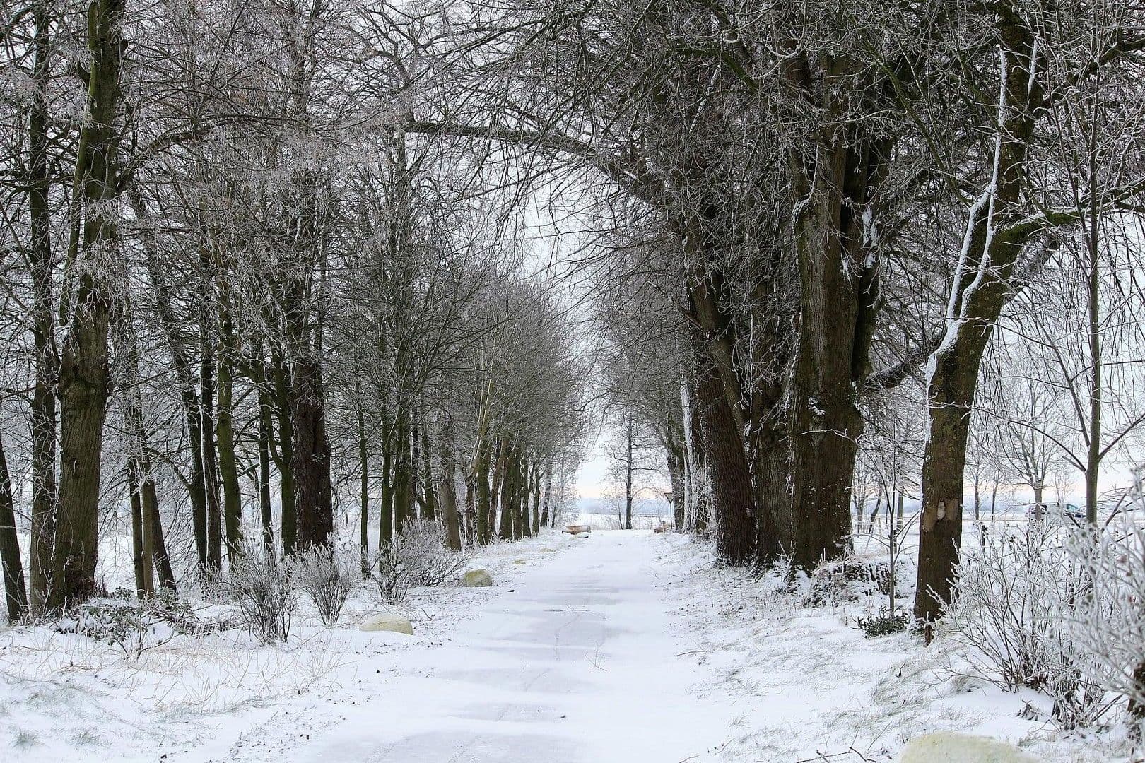 Prodej domu 380 m², pozemek 350.000 m², Domäne Hünkemann 1, Wurster Nordseeküste, Dolní Sasko Prodej domu 380 m², pozemek 350.000 m², Domäne Hünkemann 1, Wurster Nordseeküste, Dolní Sasko