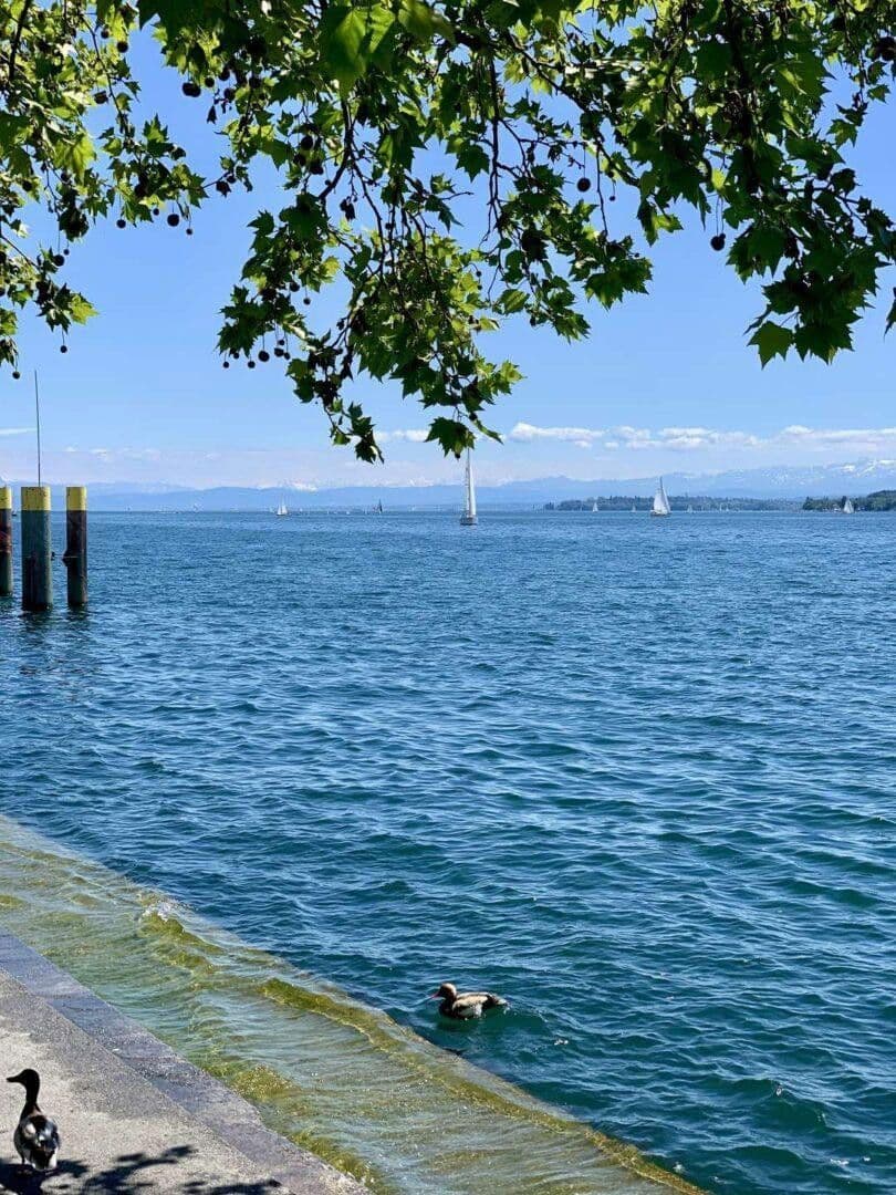 Prodej bytu 2+1 72 m², Christophstraße 8, Überlingen, Bádensko-Württembersko Prodej bytu 2+1 72 m², Christophstraße 8, Überlingen, Bádensko-Württembersko