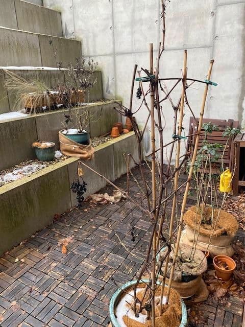 Pronájem bytu 4+1 109 m², Hamburg - Wellingsbüttel, Hamburg Pronájem bytu 4+1 109 m², Hamburg - Wellingsbüttel, Hamburg