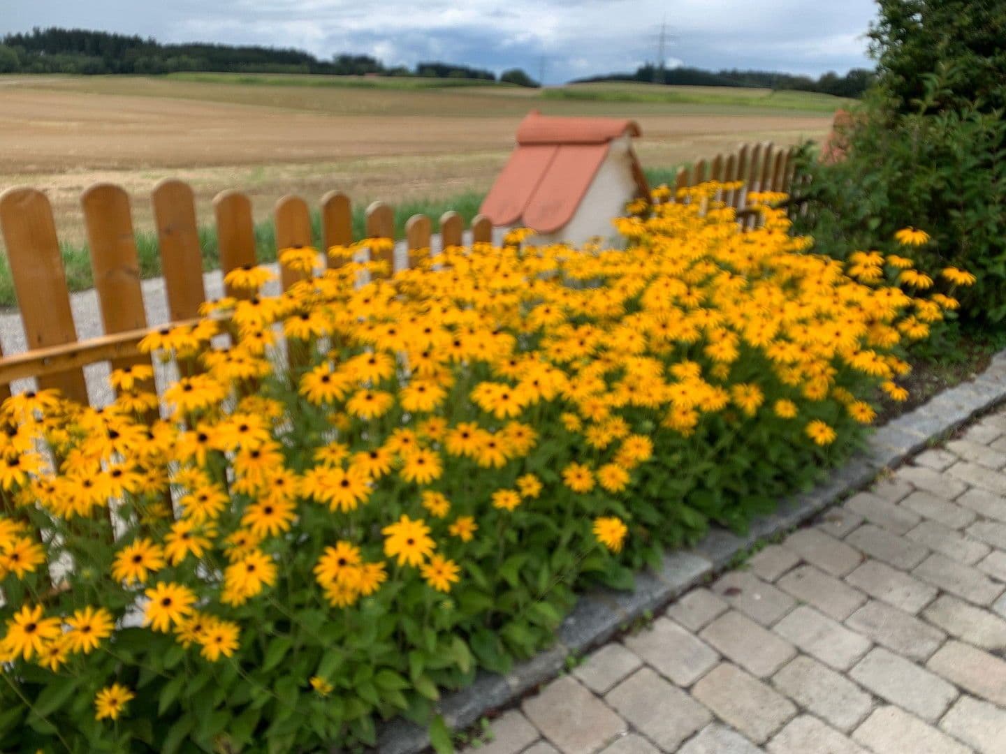 Pronájem domu 170 m², pozemek 450 m², Adlkofen, Bavorsko Pronájem domu 170 m², pozemek 450 m², Adlkofen, Bavorsko