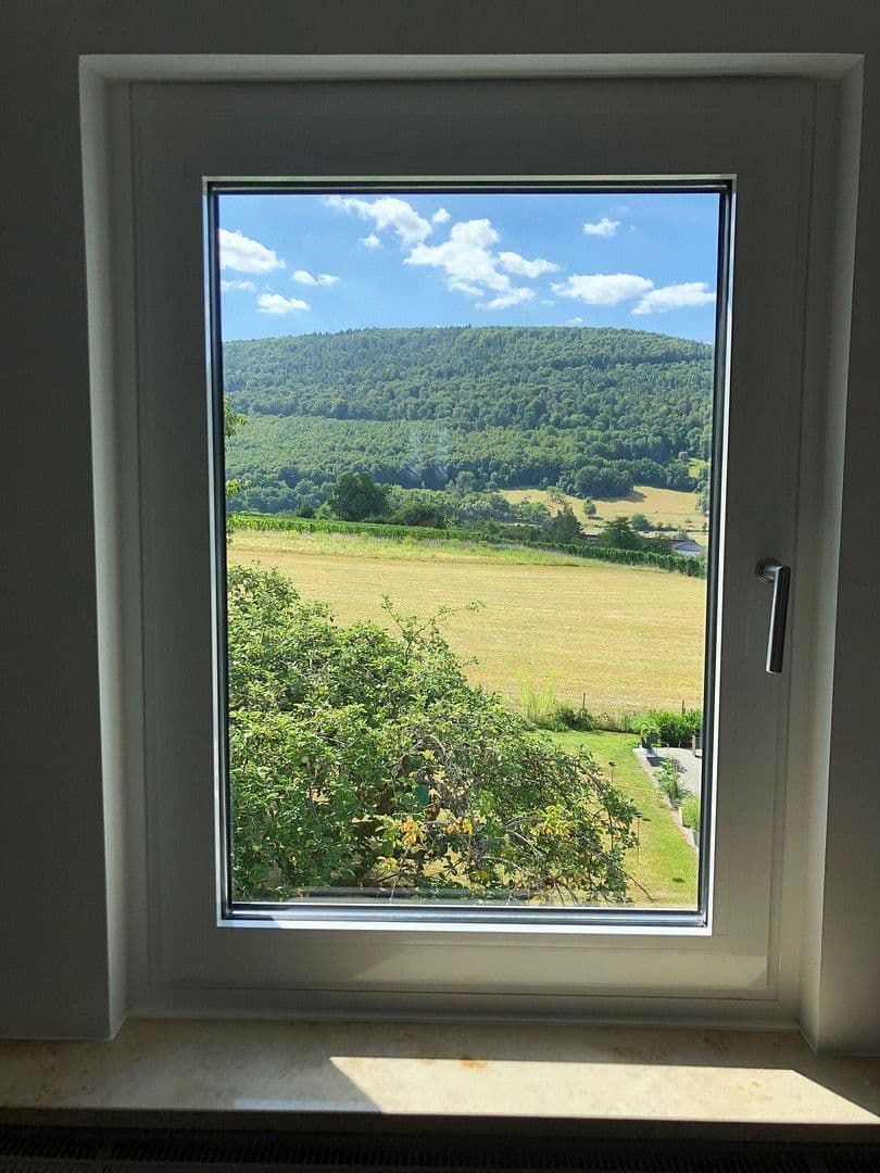 Pronájem domu 300 m², pozemek 1.899 m², Bürgstadt, Bavorsko Pronájem domu 300 m², pozemek 1.899 m², Bürgstadt, Bavorsko