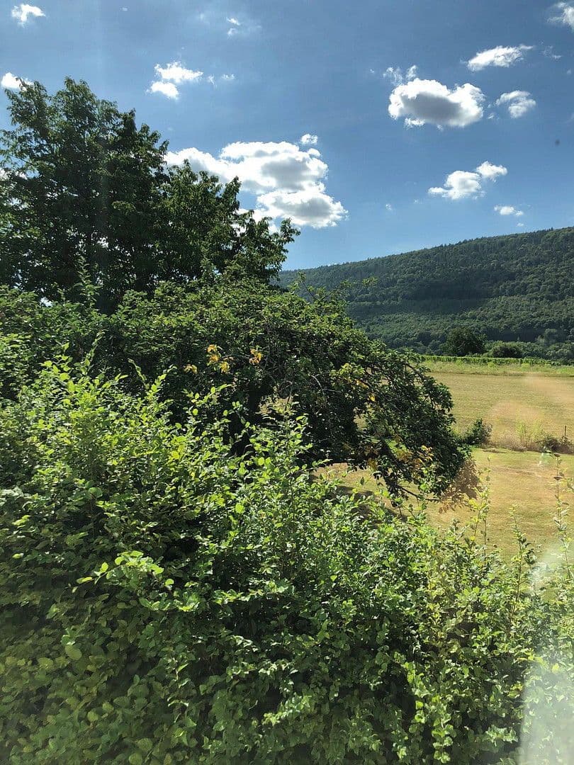 Pronájem domu 300 m², pozemek 1.899 m², Bürgstadt, Bavorsko Pronájem domu 300 m², pozemek 1.899 m², Bürgstadt, Bavorsko