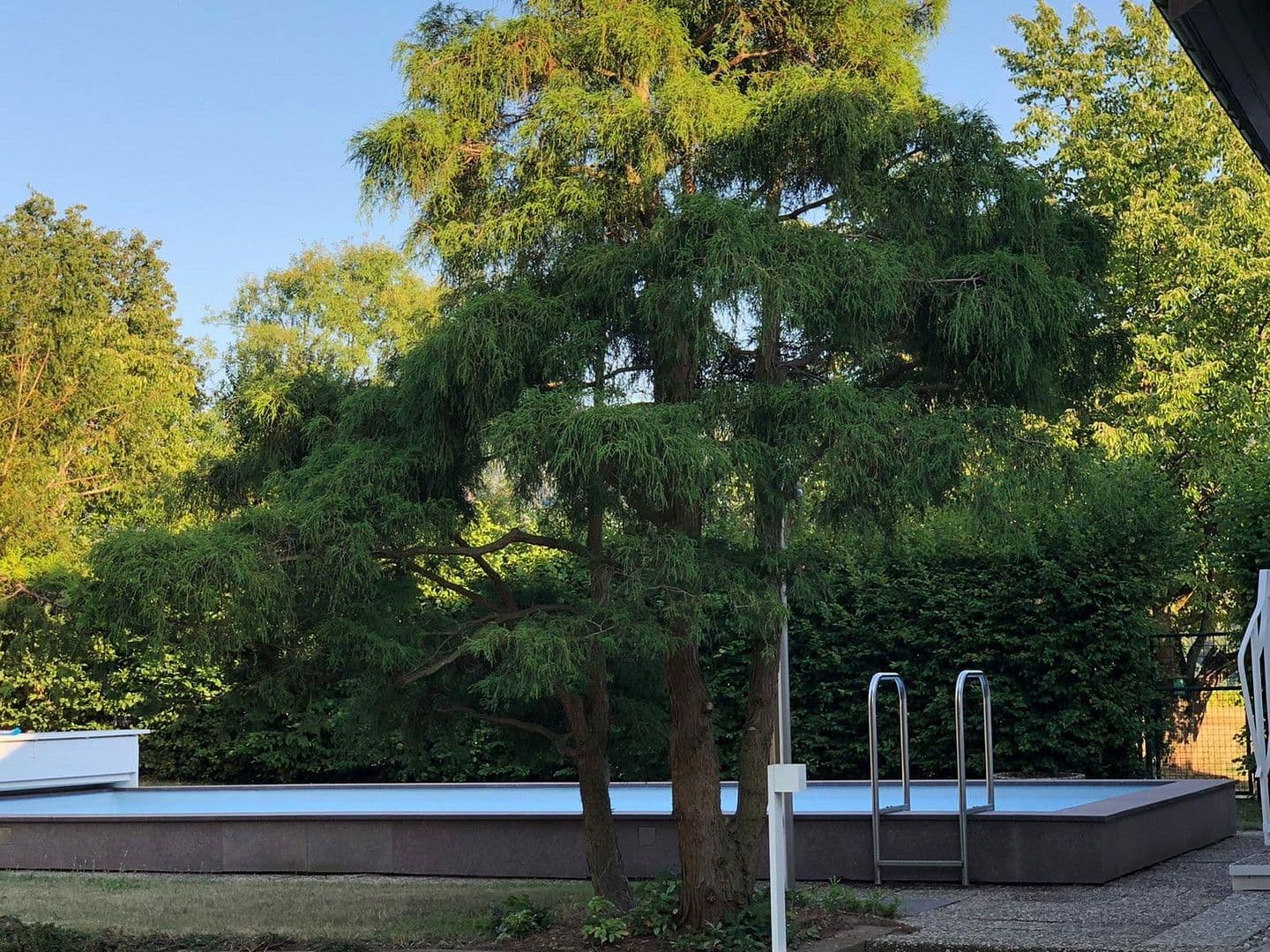 Pronájem domu 300 m², pozemek 1.899 m², Bürgstadt, Bavorsko Pronájem domu 300 m², pozemek 1.899 m², Bürgstadt, Bavorsko