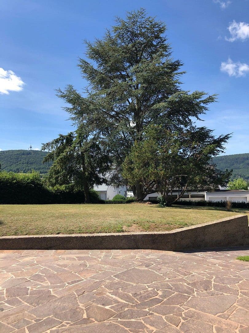 Pronájem domu 300 m², pozemek 1.899 m², Bürgstadt, Bavorsko Pronájem domu 300 m², pozemek 1.899 m², Bürgstadt, Bavorsko