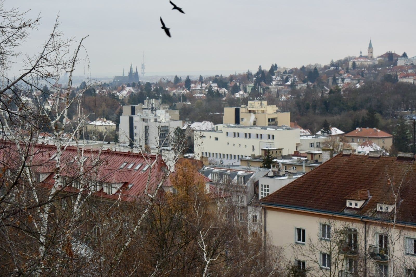 Pronájem bytu 2+1 54 m², Kamerunská, Praha, Praha Pronájem bytu 2+1 54 m², Kamerunská, Praha, Praha