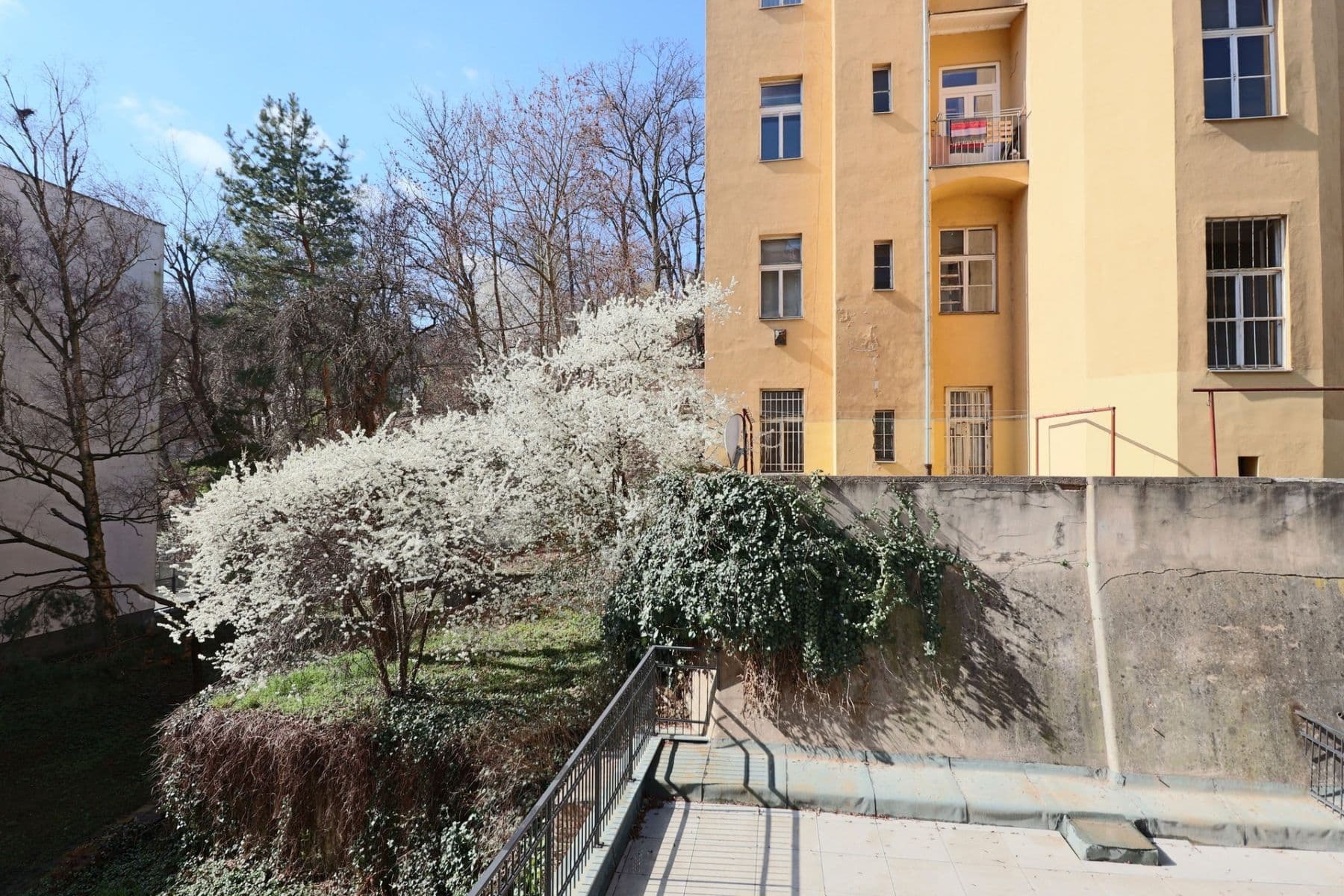 Pronájem bytu 1+kk 17 m², Radlická, Praha, Praha Pronájem bytu 1+kk 17 m², Radlická, Praha, Praha