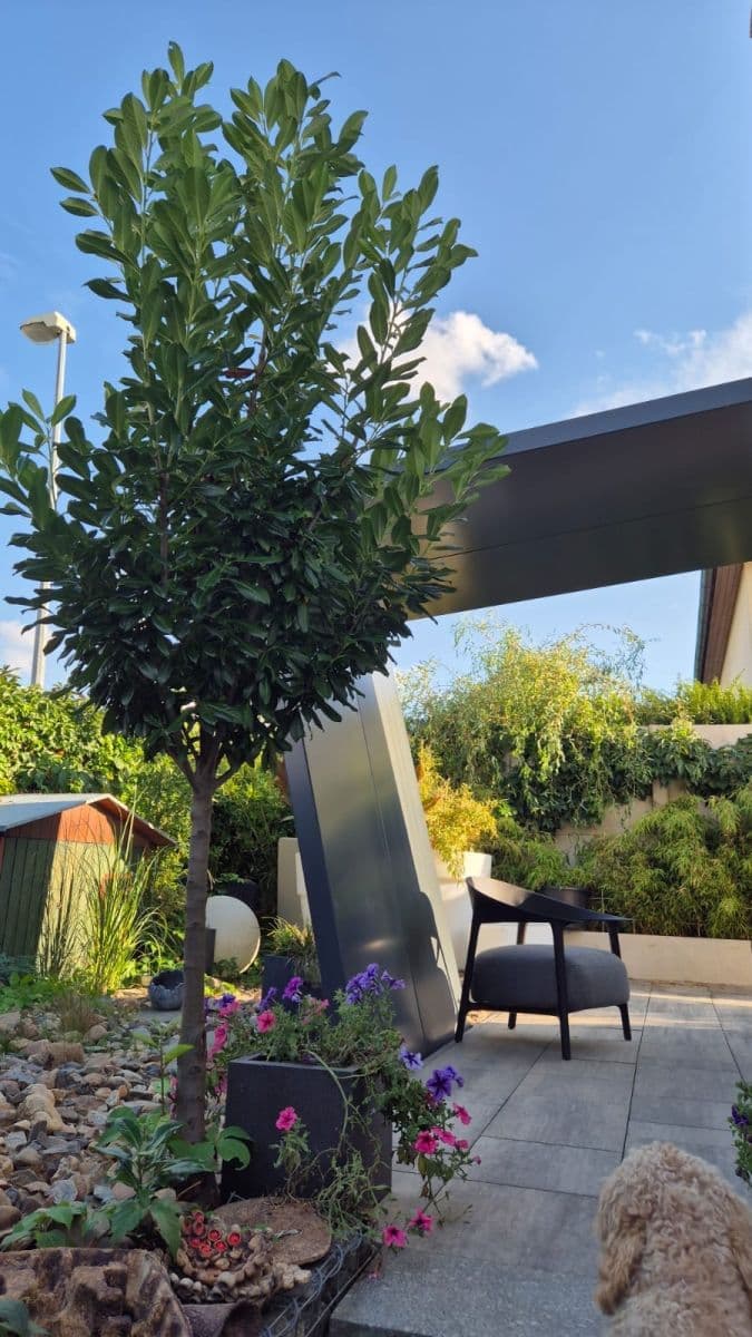 Prodej domu 120 m², pozemek 259 m², Felklova, Roztoky, Středočeský kraj Prodej domu 120 m², pozemek 259 m², Felklova, Roztoky, Středočeský kraj