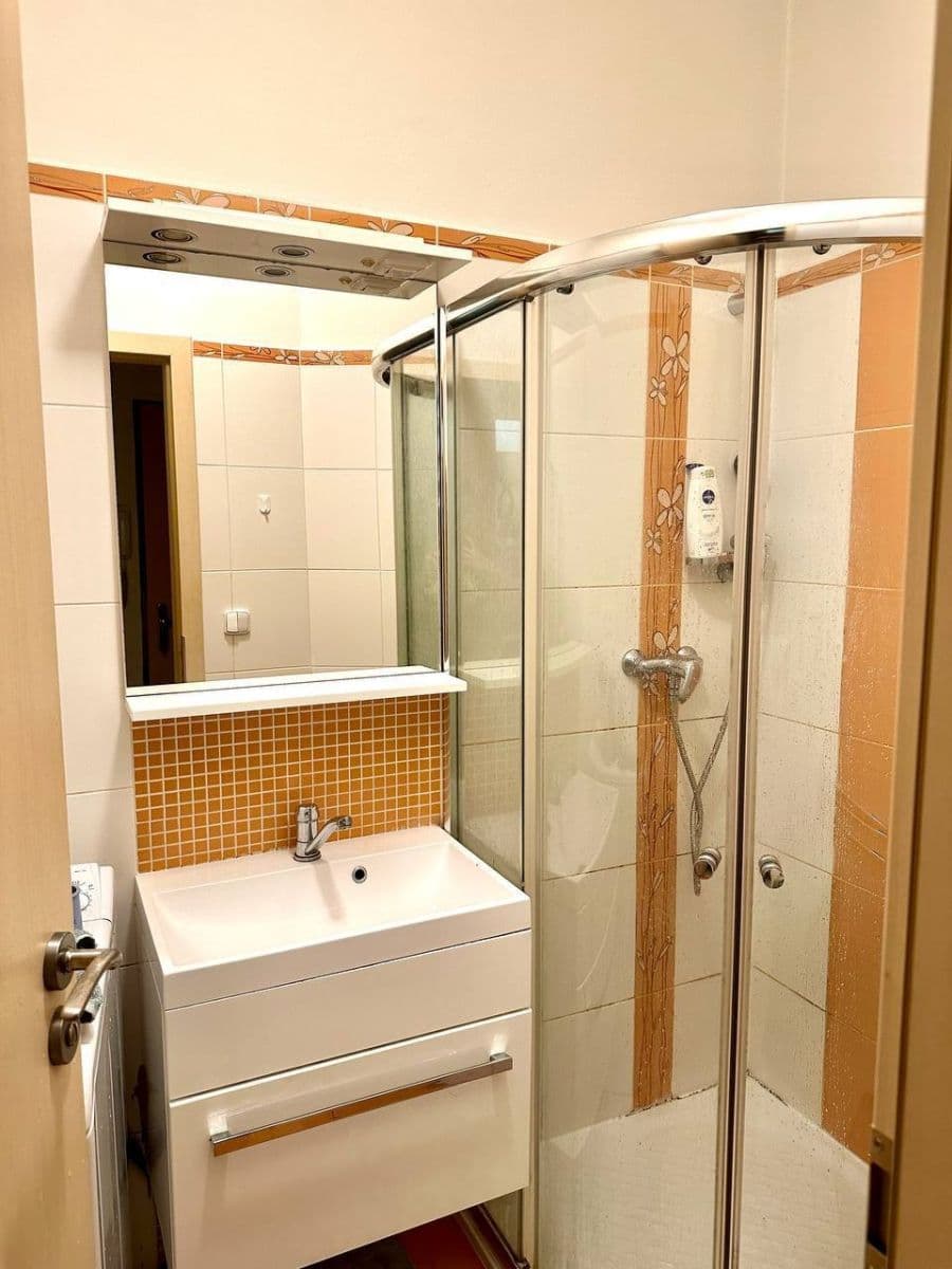 Pronájem bytu 2+kk 55 m², Bořivojova, Praha, Praha Pronájem bytu 2+kk 55 m², Bořivojova, Praha, Praha