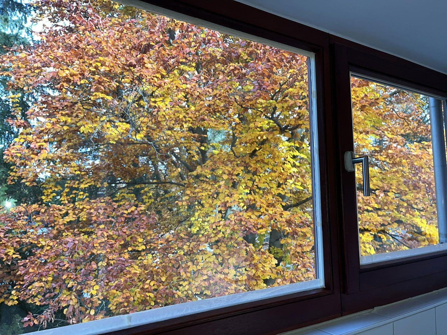 Pronájem bytu 3+1 72 m², München, Bavorsko Pronájem bytu 3+1 72 m², München, Bavorsko