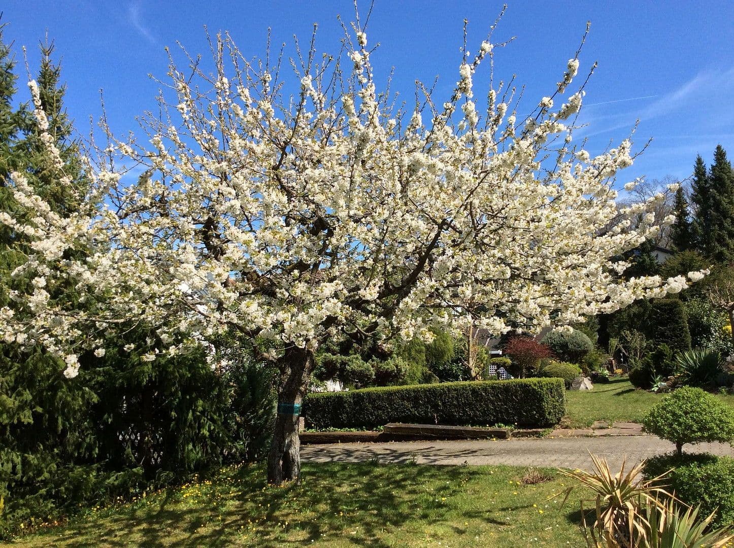 Prodej domu 197 m², pozemek 705 m², Böblingen, Bádensko-Württembersko Prodej domu 197 m², pozemek 705 m², Böblingen, Bádensko-Württembersko