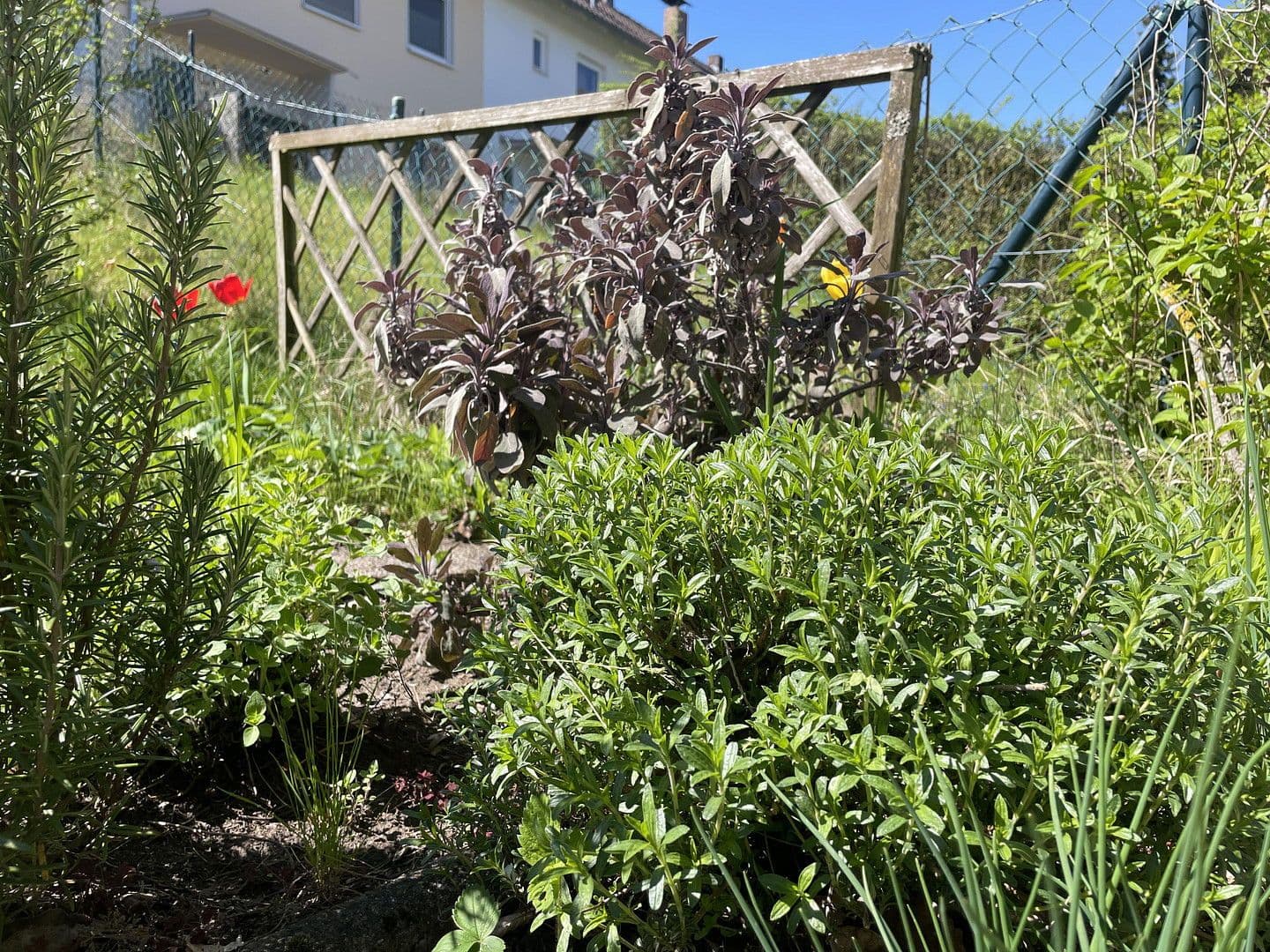 Prodej domu 115 m², pozemek 459 m², Coburg, Bavorsko Prodej domu 115 m², pozemek 459 m², Coburg, Bavorsko