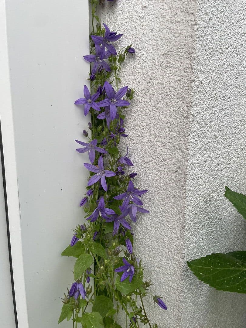 Prodej domu 141 m², pozemek 161 m², Lüneburg, Dolní Sasko Prodej domu 141 m², pozemek 161 m², Lüneburg, Dolní Sasko