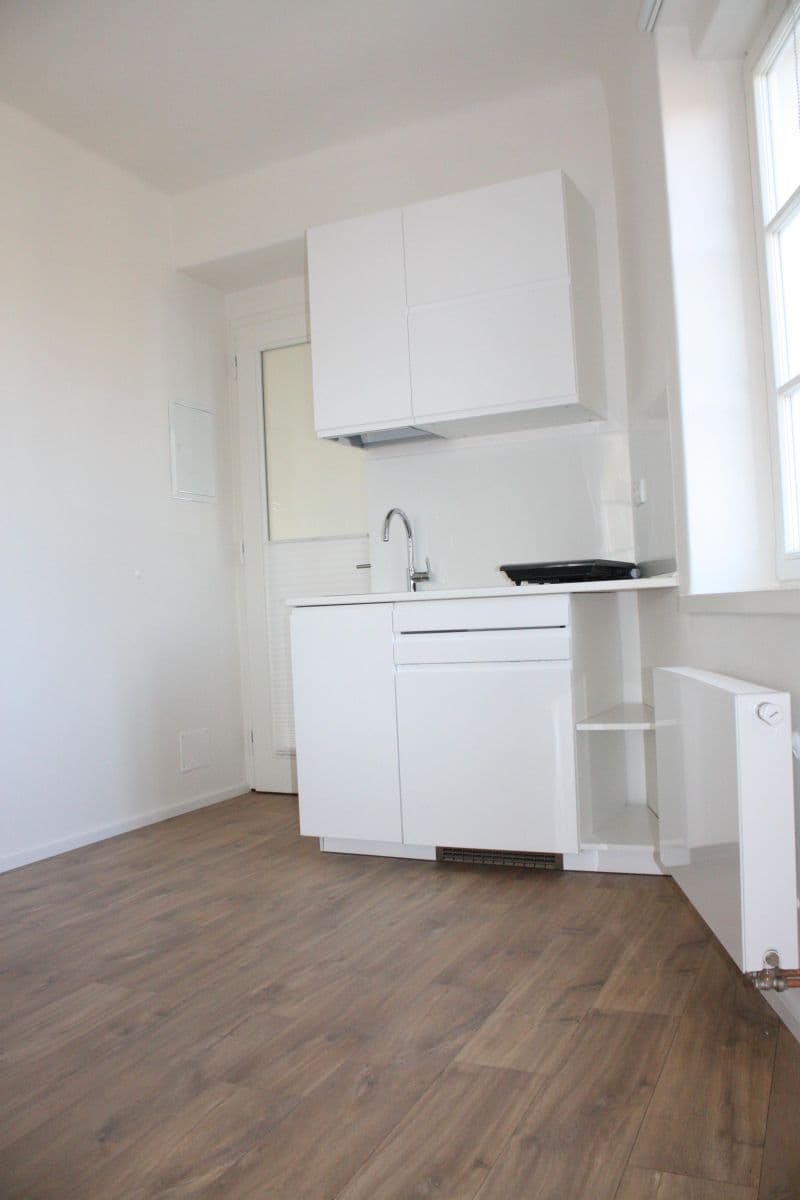 Pronájem bytu 2+kk 35 m², Ve Střešovičkách, Praha, Praha Pronájem bytu 2+kk 35 m², Ve Střešovičkách, Praha, Praha