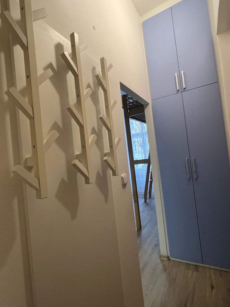 Pronájem bytu 1+kk 20 m², Wenzigova, Praha, Praha Pronájem bytu 1+kk 20 m², Wenzigova, Praha, Praha