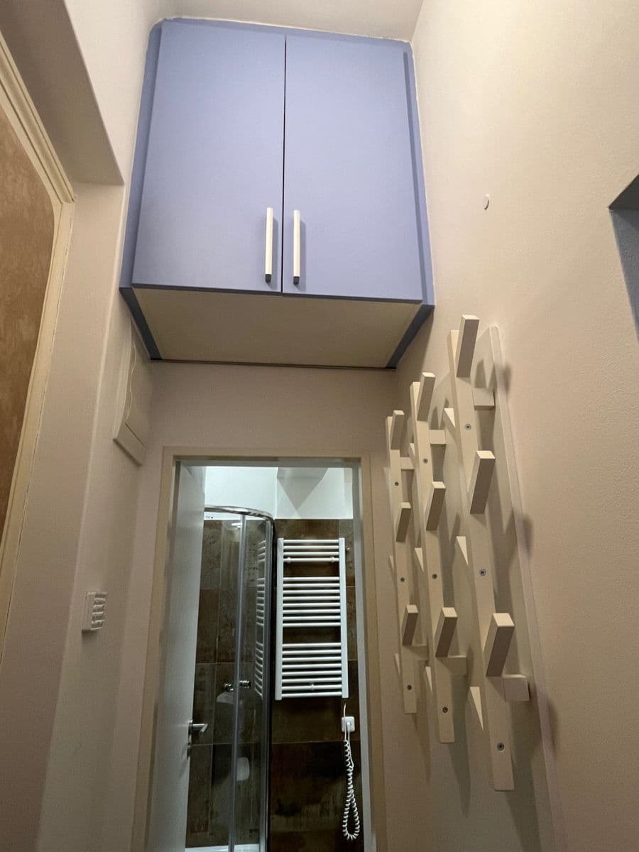 Pronájem bytu 1+kk 20 m², Wenzigova, Praha, Praha Pronájem bytu 1+kk 20 m², Wenzigova, Praha, Praha