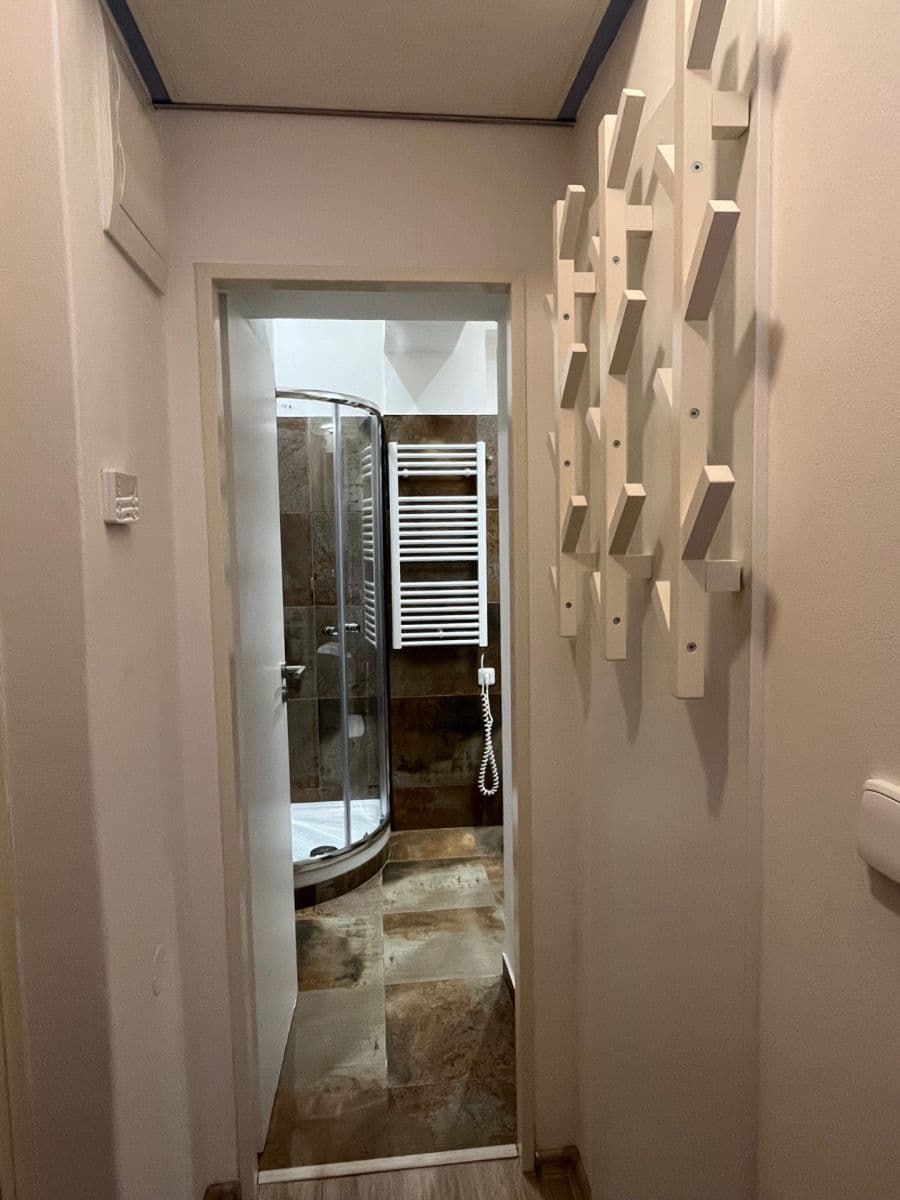 Pronájem bytu 1+kk 20 m², Wenzigova, Praha, Praha Pronájem bytu 1+kk 20 m², Wenzigova, Praha, Praha