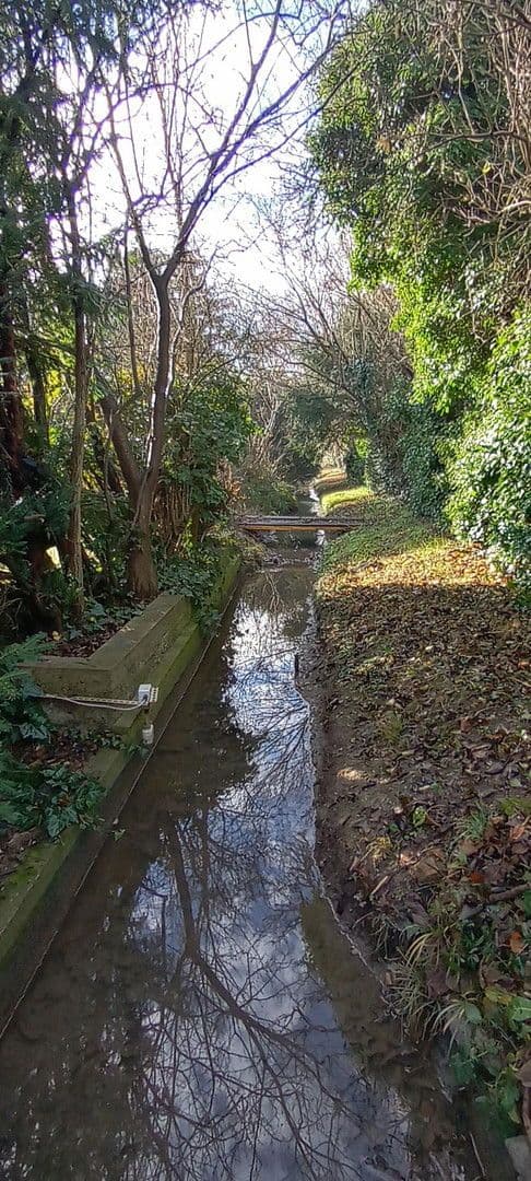 Prodej domu 40 m², pozemek 5.172 m², Biedermannsdorf, Dolní Rakousko Prodej domu 40 m², pozemek 5.172 m², Biedermannsdorf, Dolní Rakousko