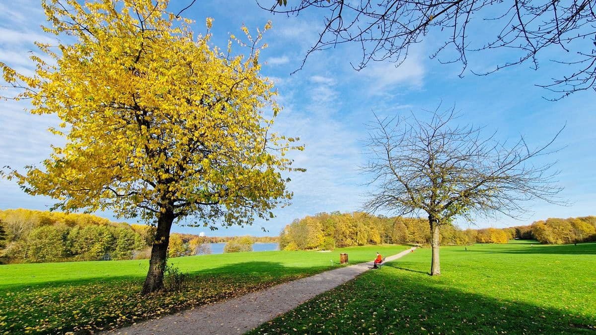 Prodej domu 126 m², pozemek 250 m², Hamburg, Hamburg Prodej domu 126 m², pozemek 250 m², Hamburg, Hamburg