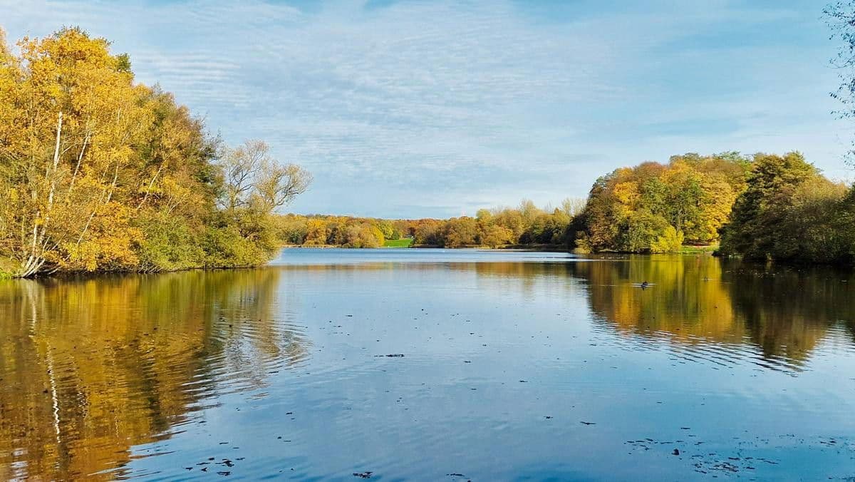 Prodej domu 126 m², pozemek 250 m², Hamburg, Hamburg Prodej domu 126 m², pozemek 250 m², Hamburg, Hamburg