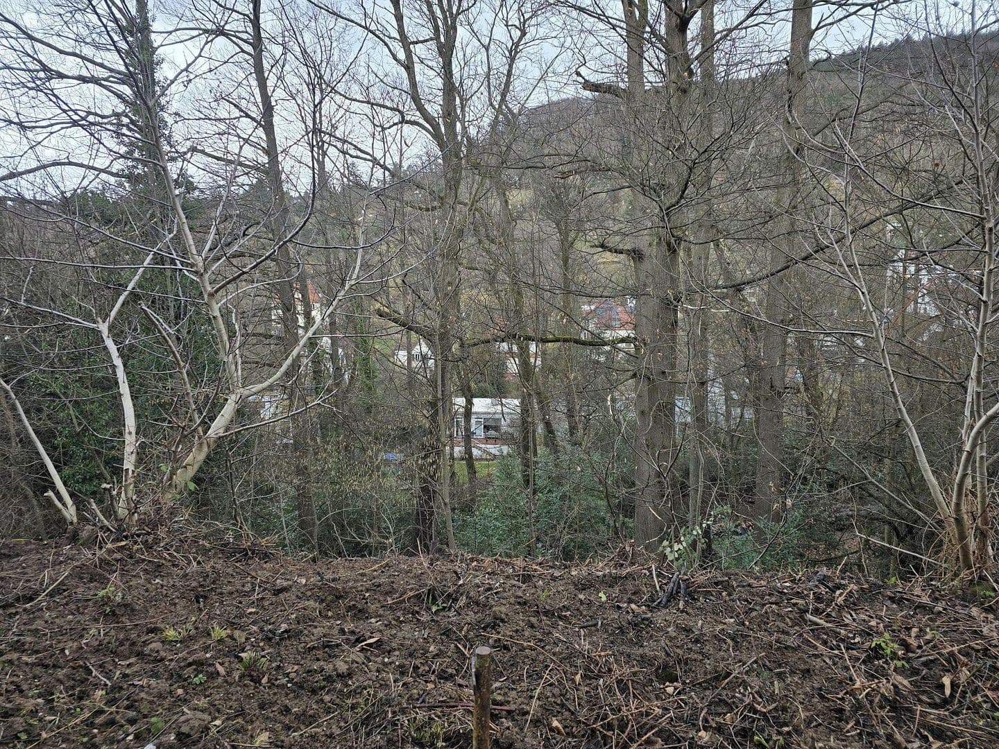 Prodej domu 231 m², pozemek 655 m², Heidelberg, Bádensko-Württembersko Prodej domu 231 m², pozemek 655 m², Heidelberg, Bádensko-Württembersko