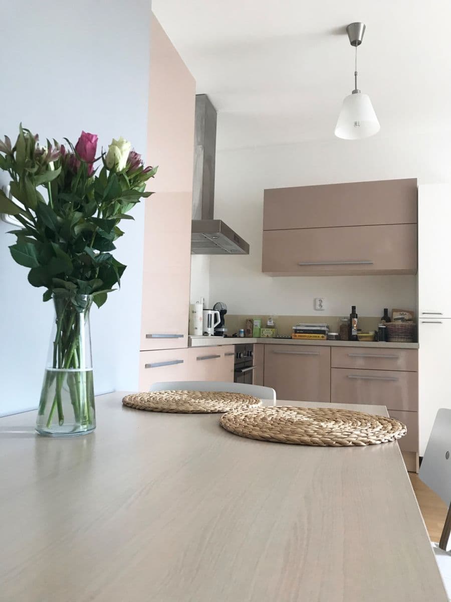 Pronájem bytu 1+kk 45 m², Rostislavovo náměstí, Brno, Jihomoravský kraj Pronájem bytu 1+kk 45 m², Rostislavovo náměstí, Brno, Jihomoravský kraj