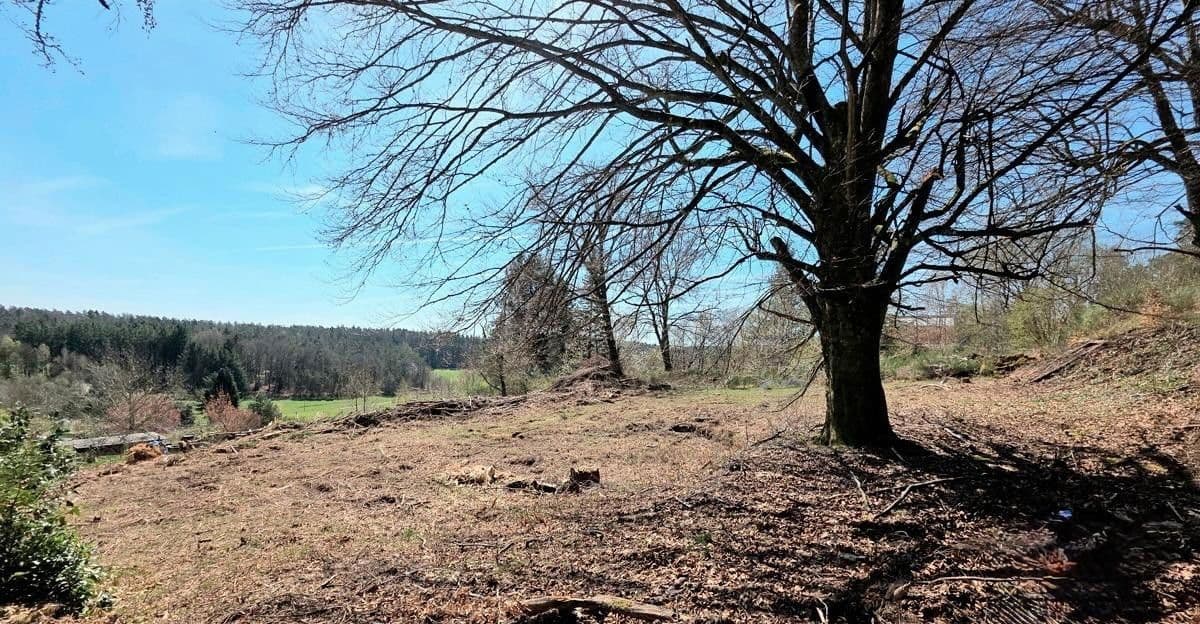 Prodej pozemku 1.458 m², Trippstadt, Porýní-Falc Prodej pozemku 1.458 m², Trippstadt, Porýní-Falc