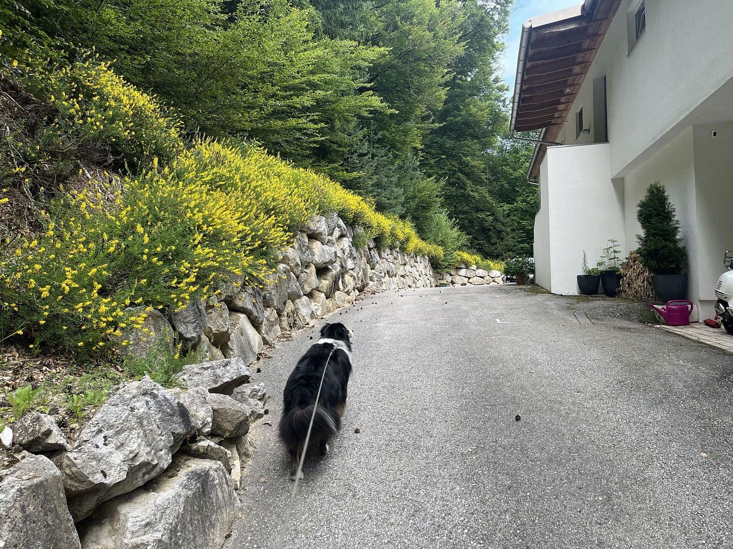 Prodej bytu 3+1 150 m², Köstenberger Strasse 149, Velden-Kranzlhofen, Korutany Prodej bytu 3+1 150 m², Köstenberger Strasse 149, Velden-Kranzlhofen, Korutany