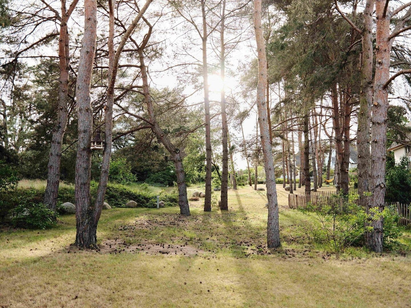 Prodej domu 127 m², pozemek 621 m², Nauteweg 4, Loddin, Mecklenburg-Vorpommern Prodej domu 127 m², pozemek 621 m², Nauteweg 4, Loddin, Mecklenburg-Vorpommern