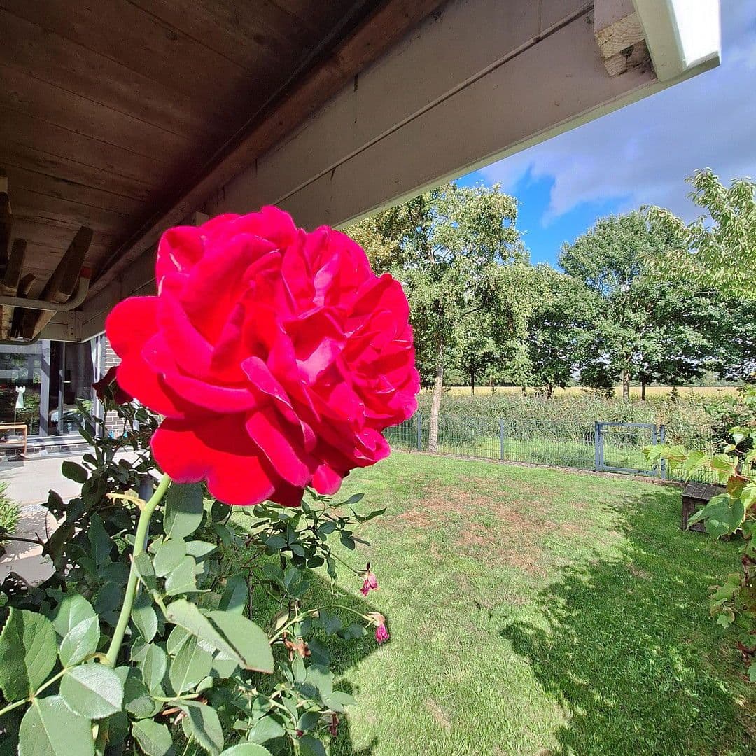 Prodej domu 181 m², pozemek 300 m², Bremen, Bremen Prodej domu 181 m², pozemek 300 m², Bremen, Bremen