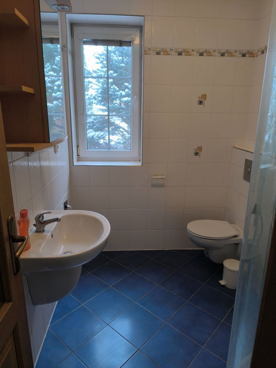 Pronájem bytu 1+1 36 m², Sadová, České Budějovice, Jihočeský kraj Pronájem bytu 1+1 36 m², Sadová, České Budějovice, Jihočeský kraj