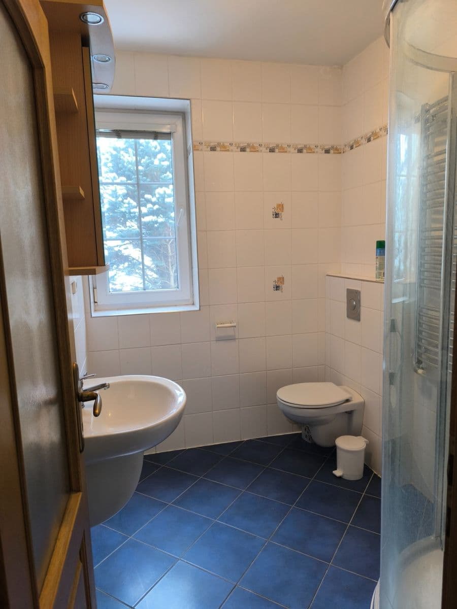 Pronájem bytu 1+1 36 m², Sadová, České Budějovice, Jihočeský kraj Pronájem bytu 1+1 36 m², Sadová, České Budějovice, Jihočeský kraj