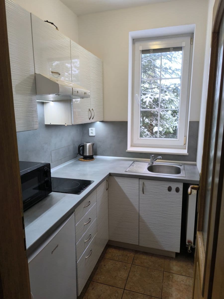 Pronájem bytu 1+1 36 m², Sadová, České Budějovice, Jihočeský kraj Pronájem bytu 1+1 36 m², Sadová, České Budějovice, Jihočeský kraj
