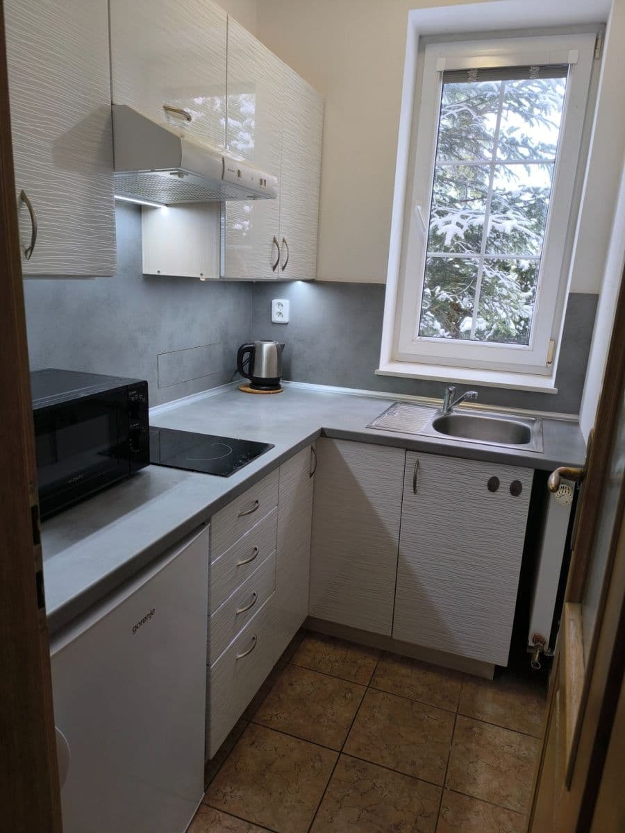 Pronájem bytu 1+1 36 m², Sadová, České Budějovice, Jihočeský kraj Pronájem bytu 1+1 36 m², Sadová, České Budějovice, Jihočeský kraj