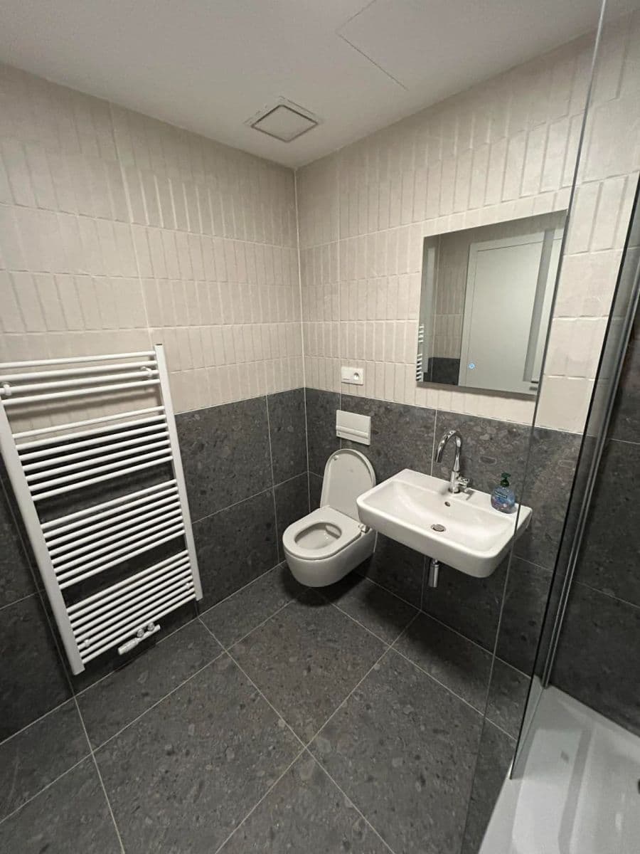 Pronájem bytu 1+kk 35 m², Bratislavská, Brno, Jihomoravský kraj Pronájem bytu 1+kk 35 m², Bratislavská, Brno, Jihomoravský kraj