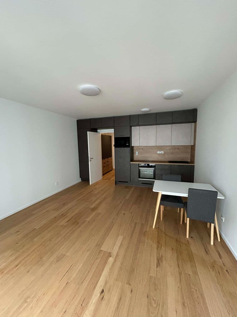 Pronájem bytu 1+kk 35 m², Bratislavská, Brno, Jihomoravský kraj Pronájem bytu 1+kk 35 m², Bratislavská, Brno, Jihomoravský kraj
