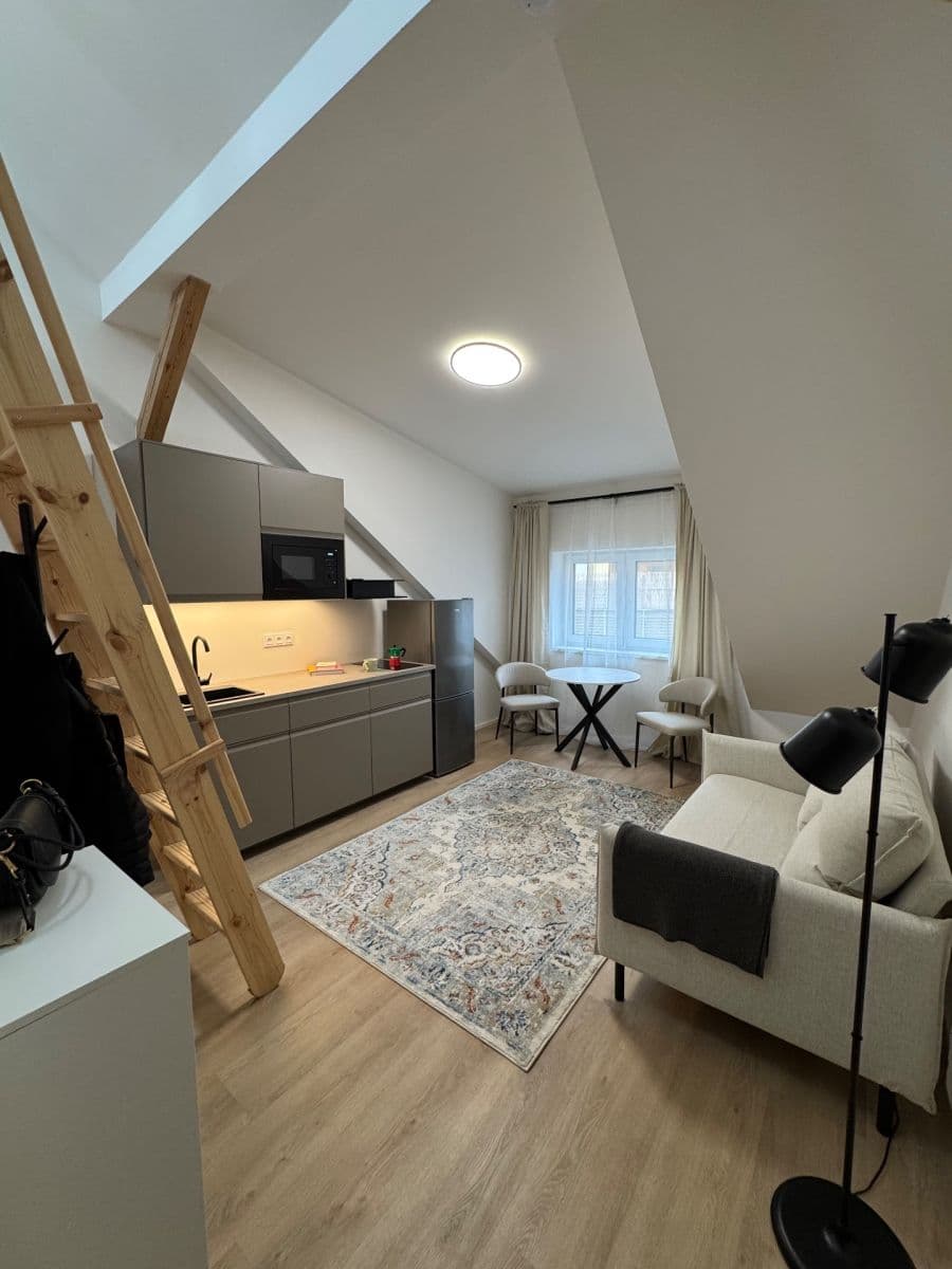 Pronájem bytu 1+kk 26 m², Za Návsí, Praha, Praha Pronájem bytu 1+kk 26 m², Za Návsí, Praha, Praha