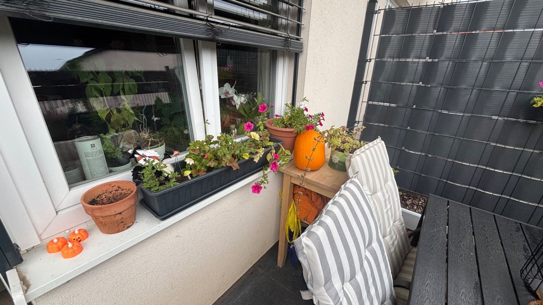 Pronájem bytu 1+kk 35 m², Uherova, Chýně, Středočeský kraj Pronájem bytu 1+kk 35 m², Uherova, Chýně, Středočeský kraj