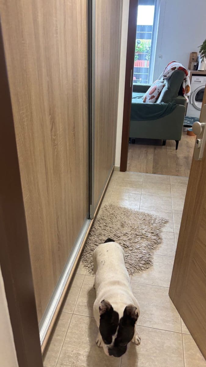 Pronájem bytu 1+kk 35 m², Uherova, Chýně, Středočeský kraj Pronájem bytu 1+kk 35 m², Uherova, Chýně, Středočeský kraj