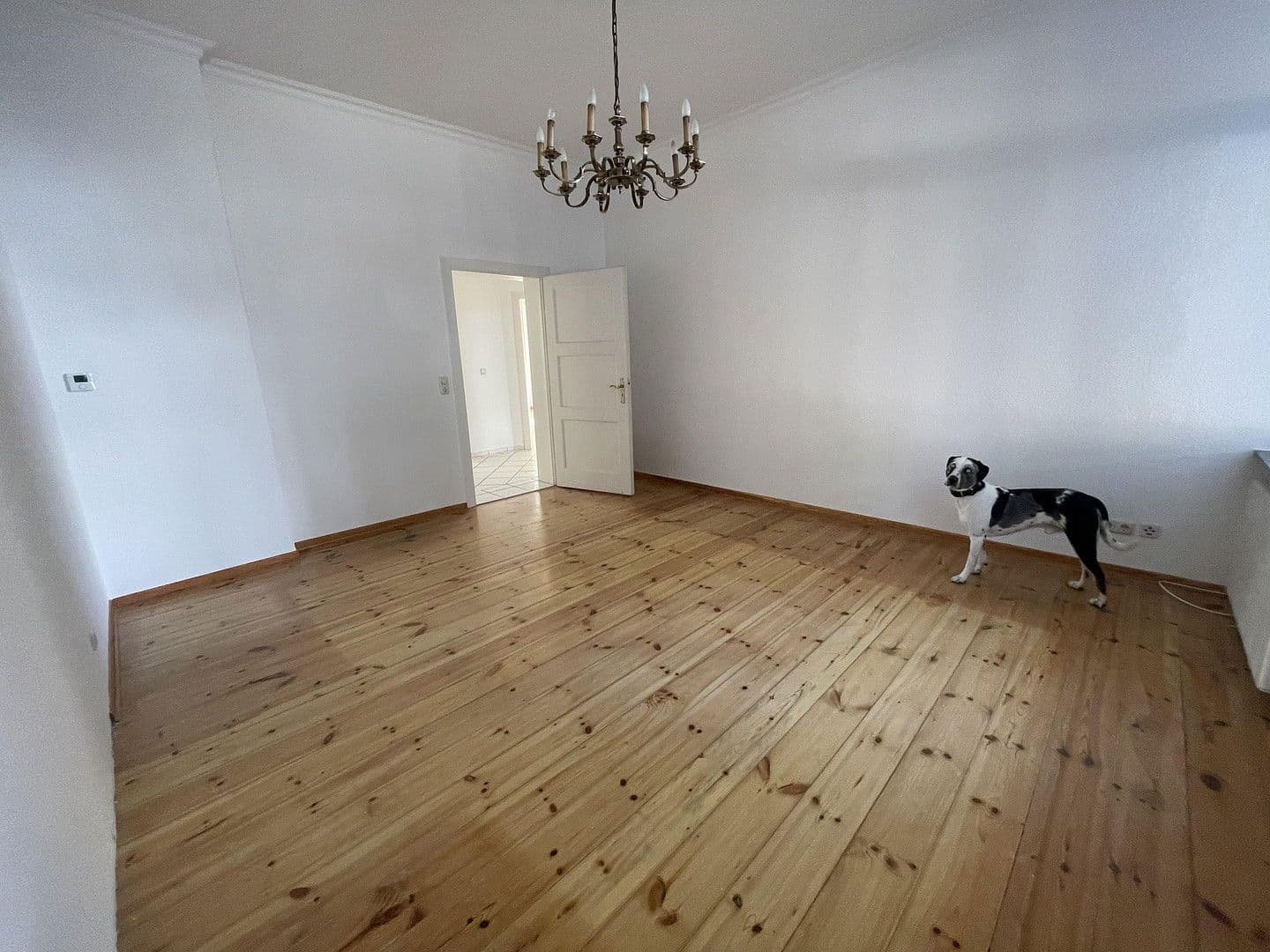 Pronájem bytu 4+1 120 m², Jahnstraße 7, Osnabrück, Dolní Sasko Pronájem bytu 4+1 120 m², Jahnstraße 7, Osnabrück, Dolní Sasko