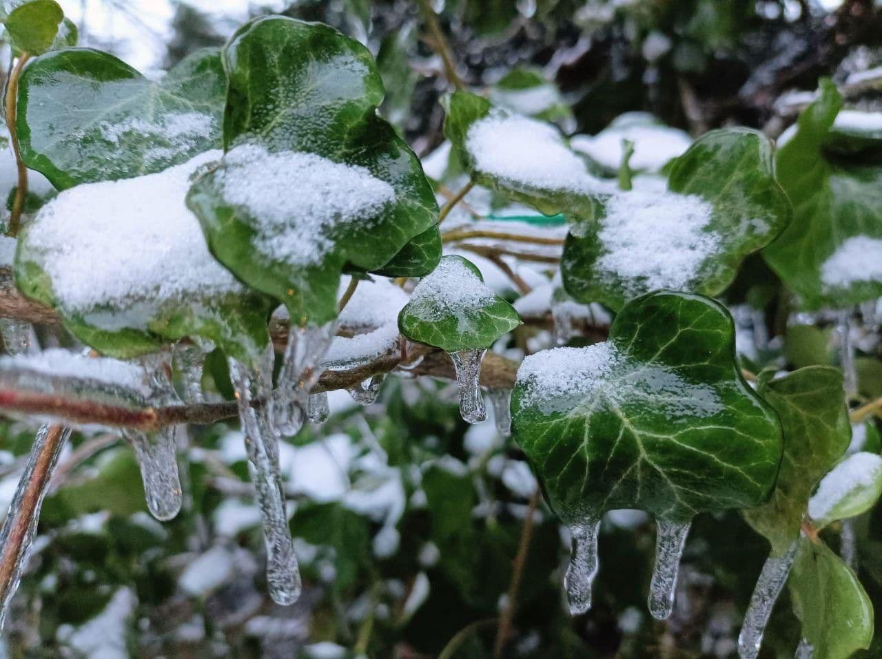 Prodej pozemku 1.020 m², Berlin, Berlín Prodej pozemku 1.020 m², Berlin, Berlín