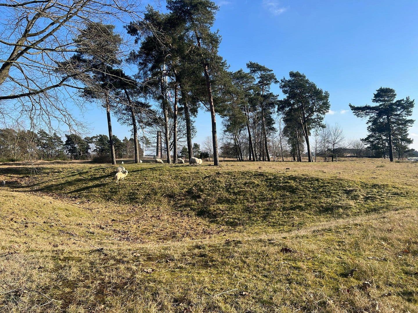 Prodej kanceláře 1.220 m², Hertzstraße 1, Coesfeld, Severní Porýní-Vestfálsko Prodej kanceláře 1.220 m², Hertzstraße 1, Coesfeld, Severní Porýní-Vestfálsko