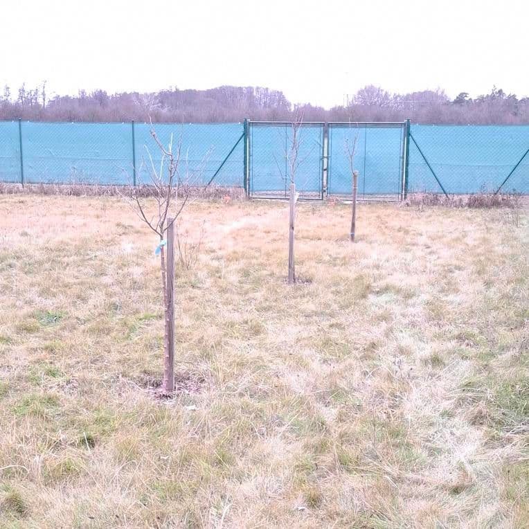 Prodej pozemku 535 m², Olomouc, Olomoucký kraj Prodej pozemku 535 m², Olomouc, Olomoucký kraj