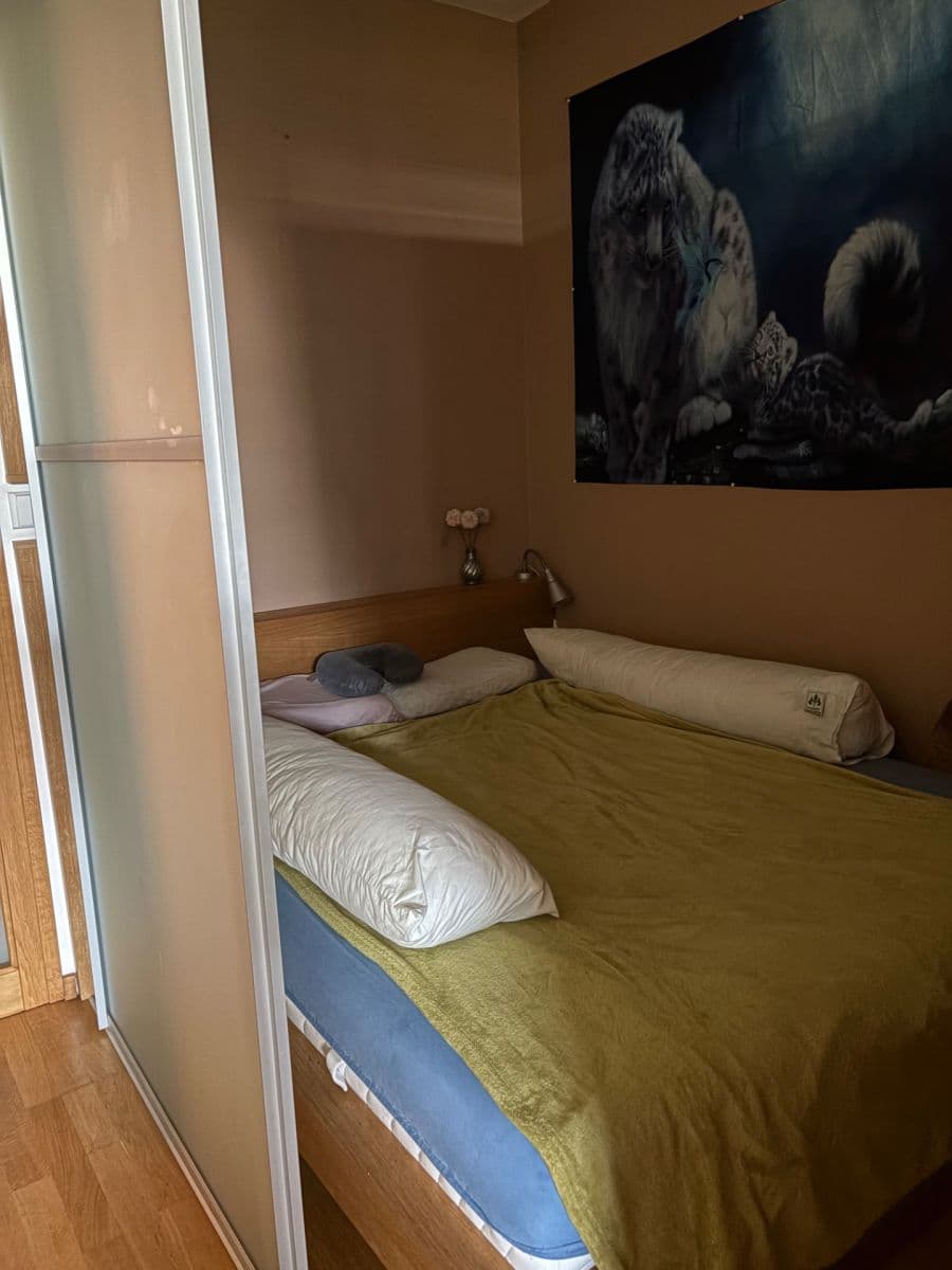 Pronájem bytu 1+kk 47 m², Litoměřická, Praha, Praha Pronájem bytu 1+kk 47 m², Litoměřická, Praha, Praha