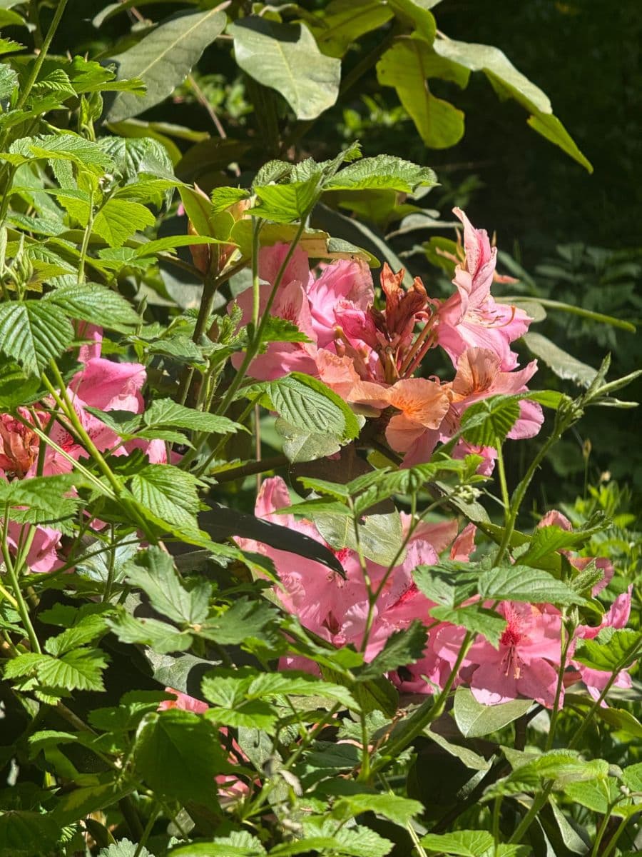Prodej chaty, chalupy 130 m², pozemek 3.000 m², Staré Křečany, Ústecký kraj Prodej chaty, chalupy 130 m², pozemek 3.000 m², Staré Křečany, Ústecký kraj