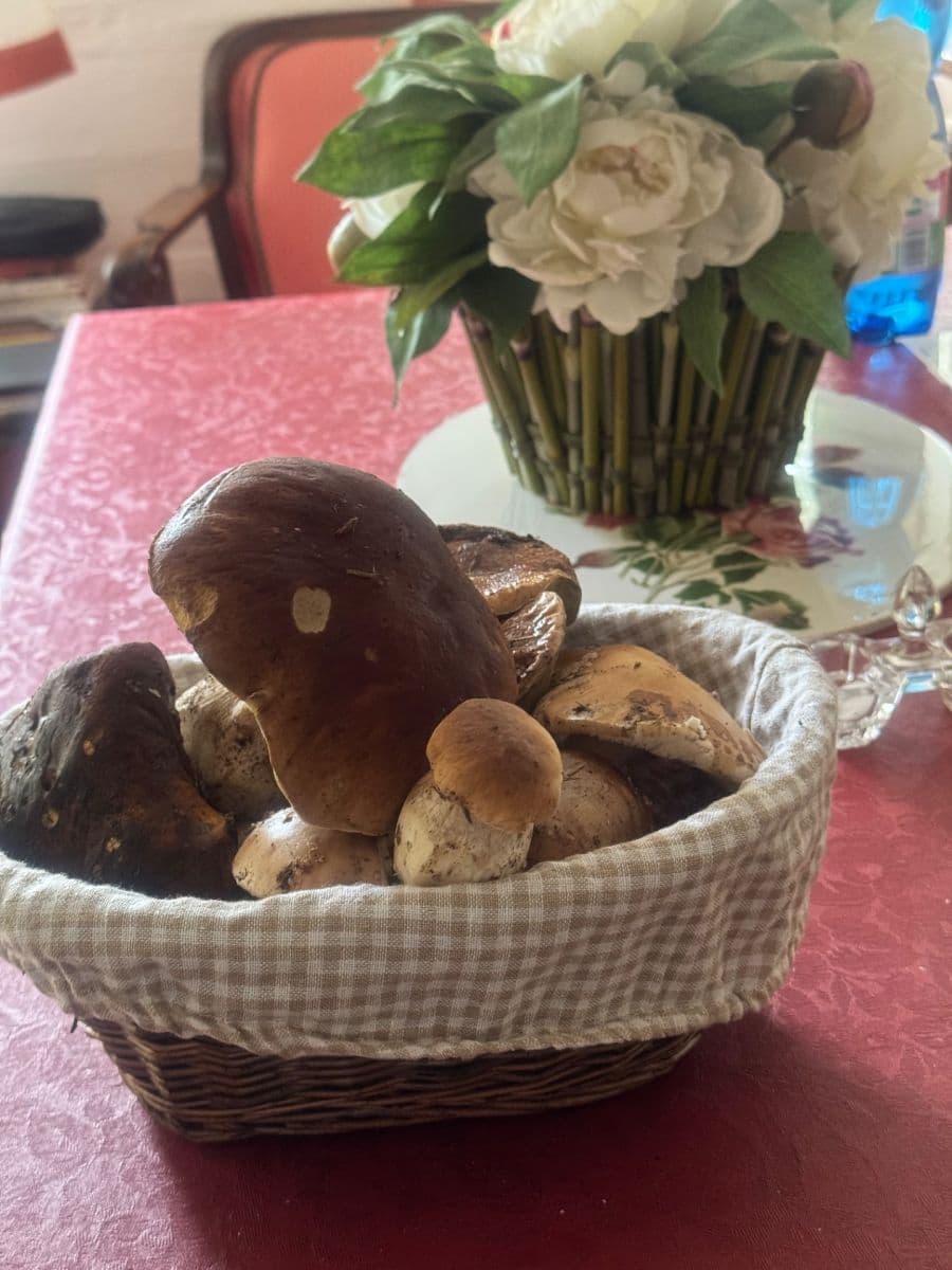 Prodej chaty, chalupy 130 m², pozemek 3.000 m², Staré Křečany, Ústecký kraj Prodej chaty, chalupy 130 m², pozemek 3.000 m², Staré Křečany, Ústecký kraj