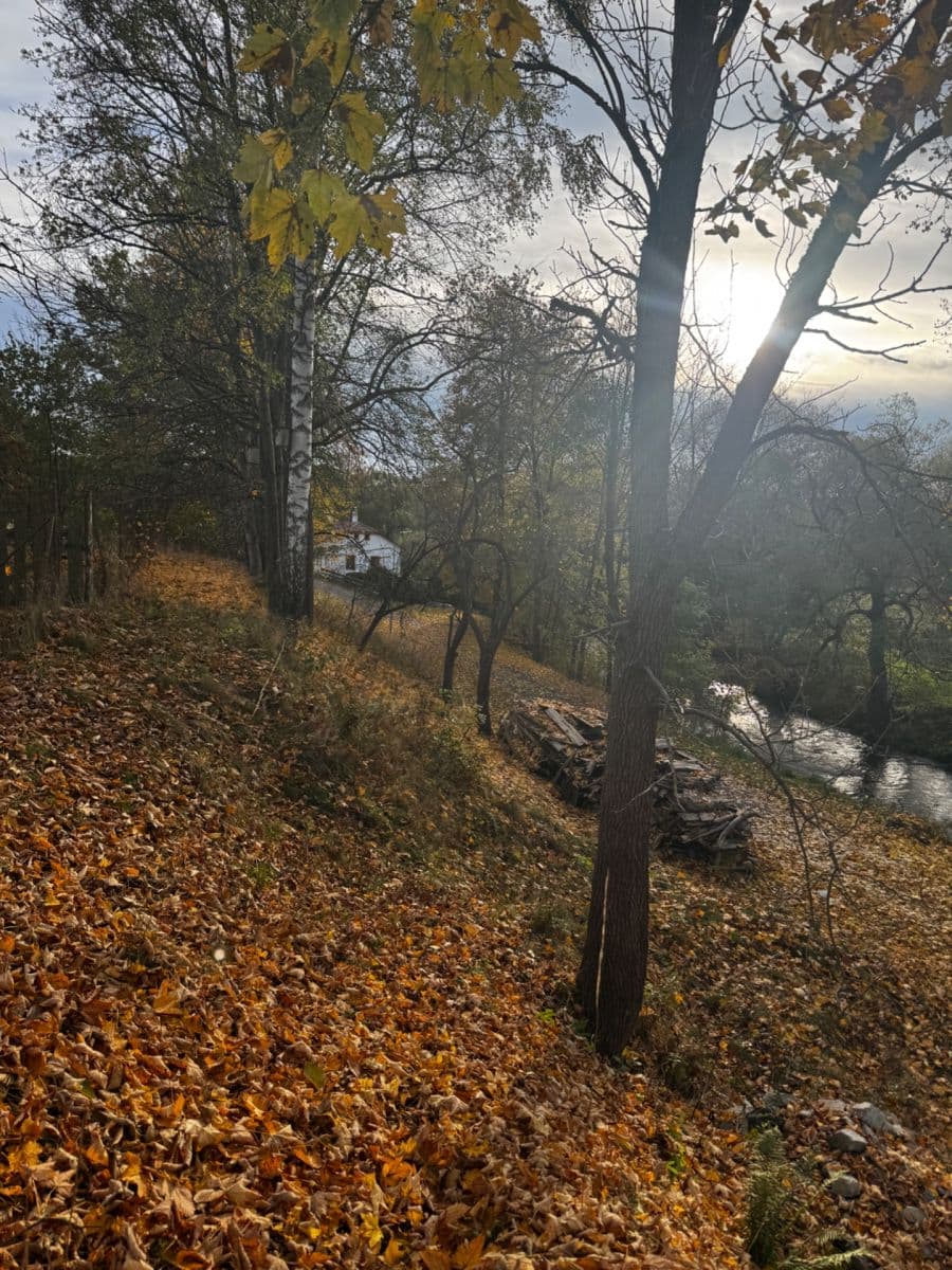 Prodej pozemku 366 m², Dolní Žďár, Jihočeský kraj Prodej pozemku 366 m², Dolní Žďár, Jihočeský kraj