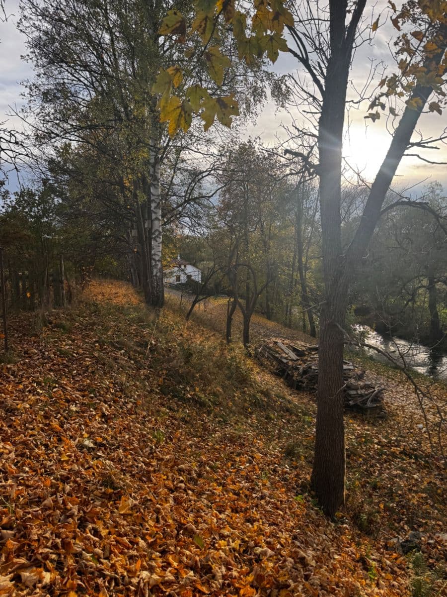 Prodej pozemku 366 m², Dolní Žďár, Jihočeský kraj Prodej pozemku 366 m², Dolní Žďár, Jihočeský kraj