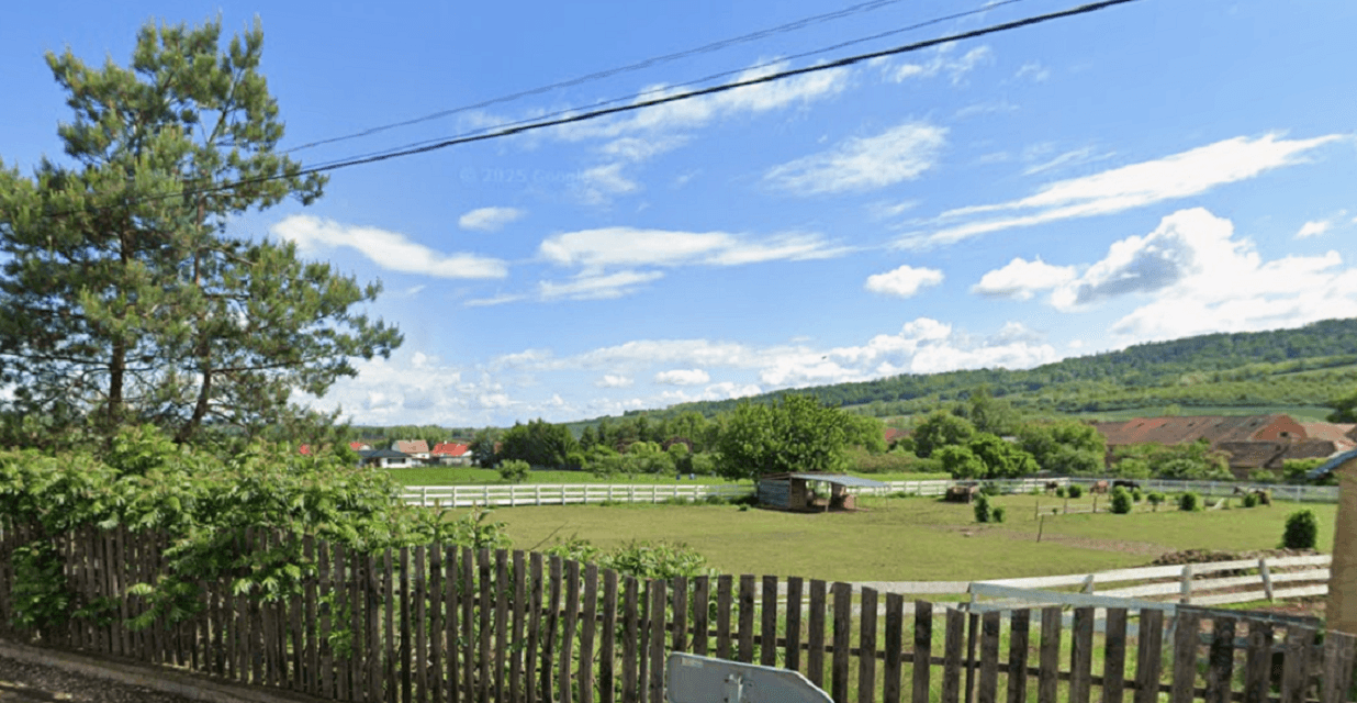 Prodej pozemku 5.000 m², Očihov, Ústecký kraj Prodej pozemku 5.000 m², Očihov, Ústecký kraj