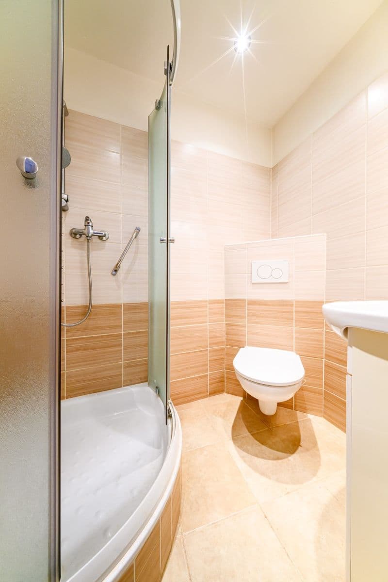 Pronájem bytu 2+1 50 m², Haštalská, Praha, Praha Pronájem bytu 2+1 50 m², Haštalská, Praha, Praha